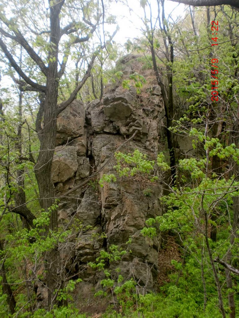 CIMG0861.JPG