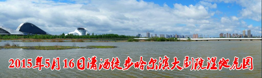 DSC01_����.JPG