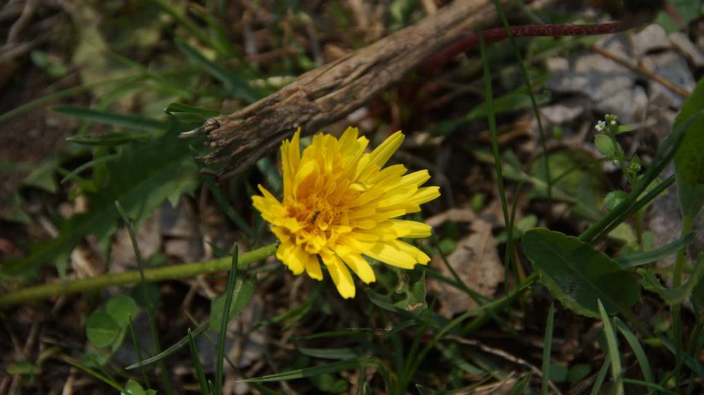 DSC01922.JPG