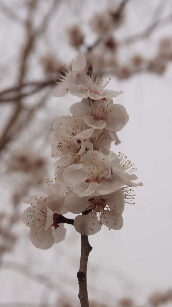 DSC04671.JPG