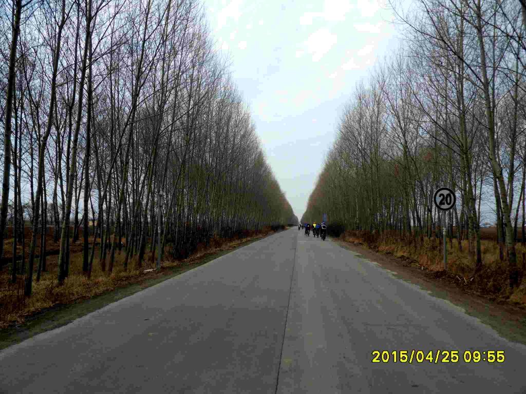 SDC15680_����_����.jpg