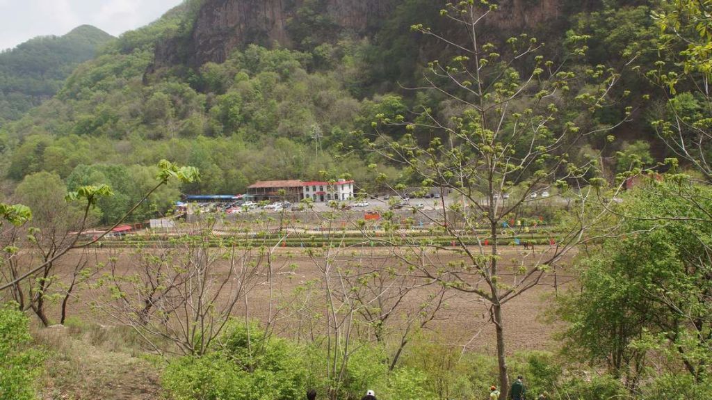 DSC08904.JPG