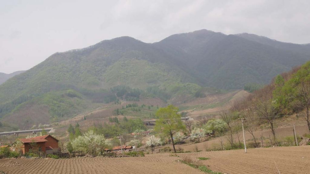 DSC08913.JPG