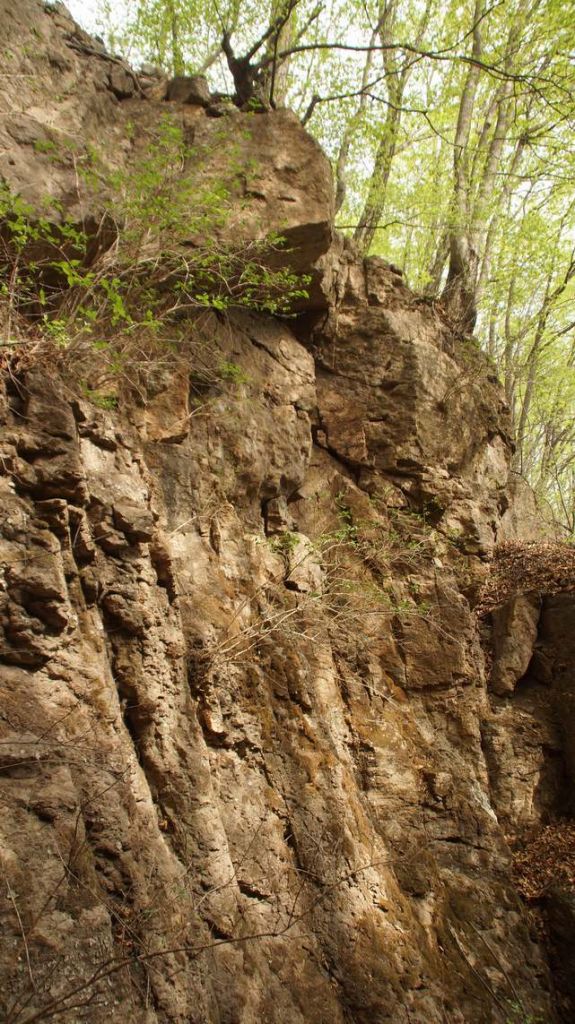 DSC09025.JPG