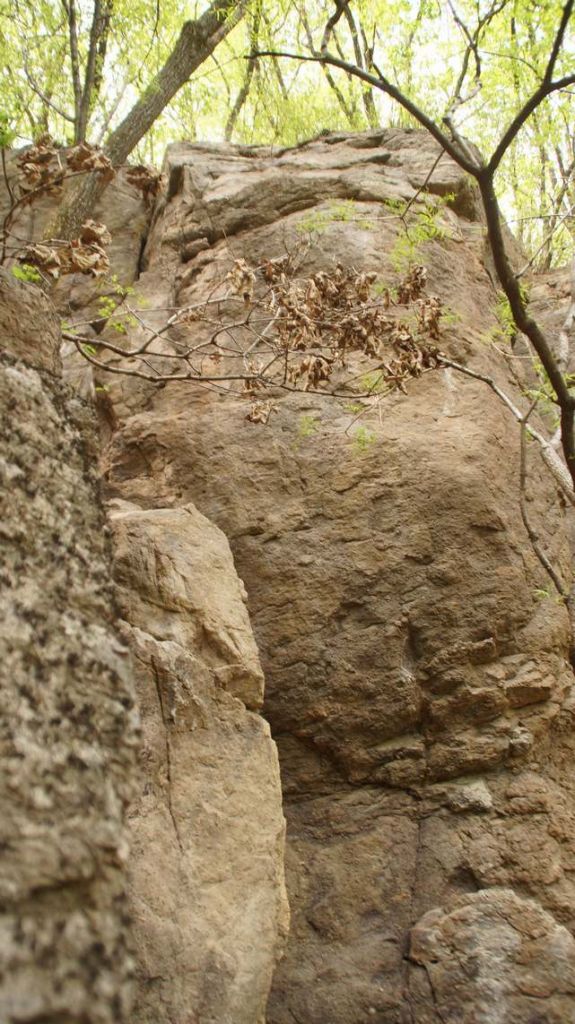 DSC09058.JPG