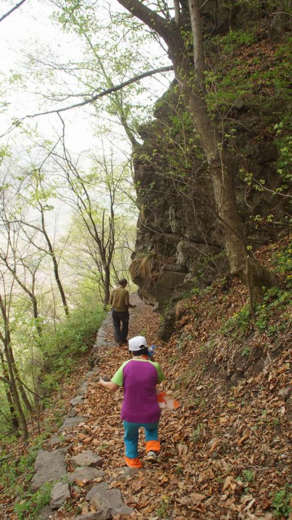 DSC09063.JPG