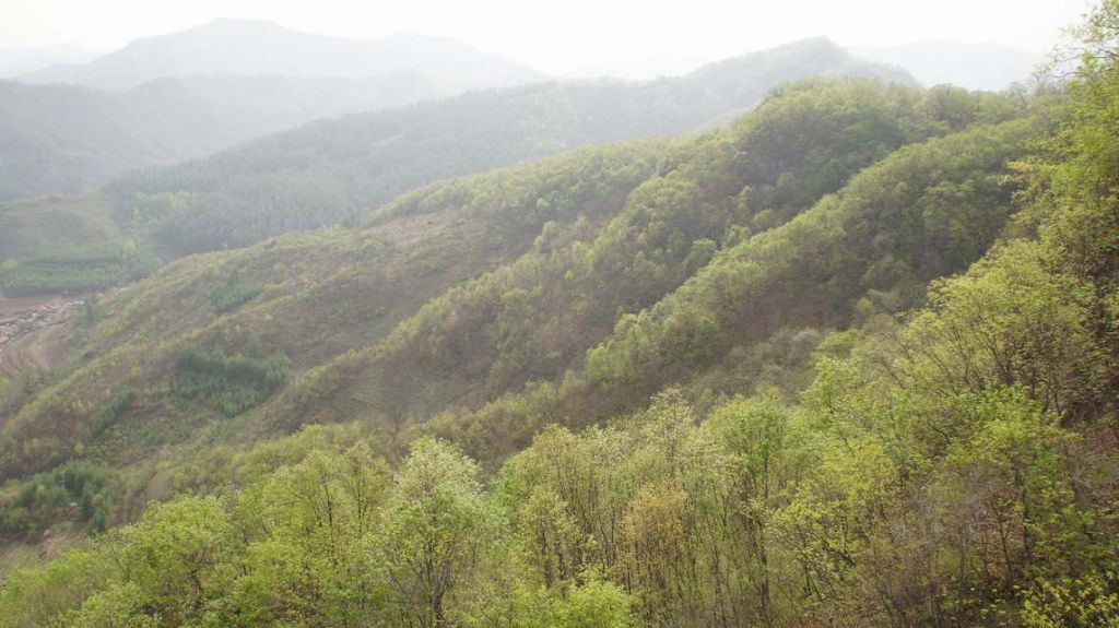DSC09102.JPG