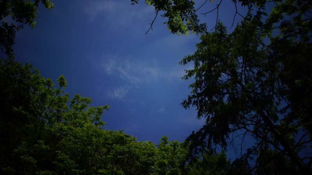 DSC04700.JPG