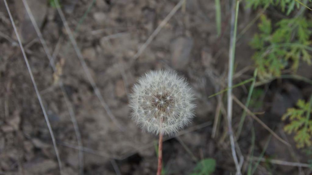 DSC06241.JPG