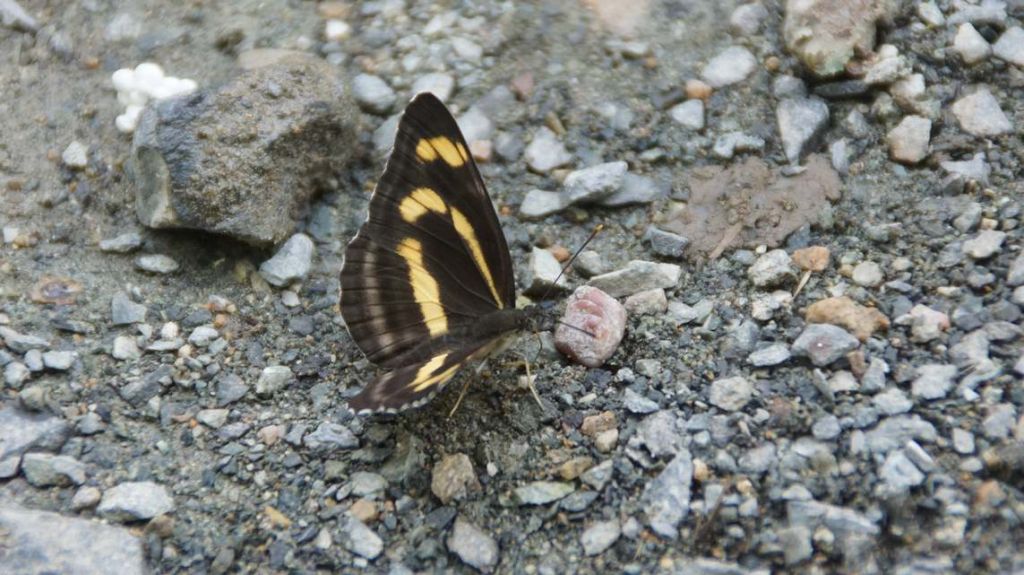 DSC06887.JPG