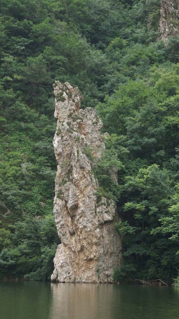 DSC08406.JPG