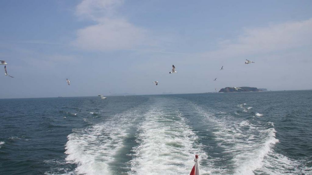 DSC09809.JPG