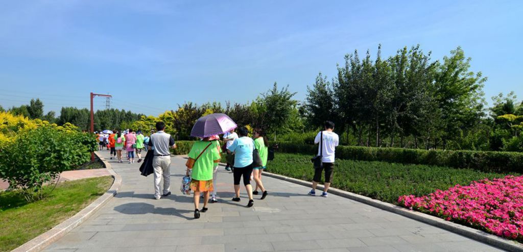 DSC_8517_����.jpg