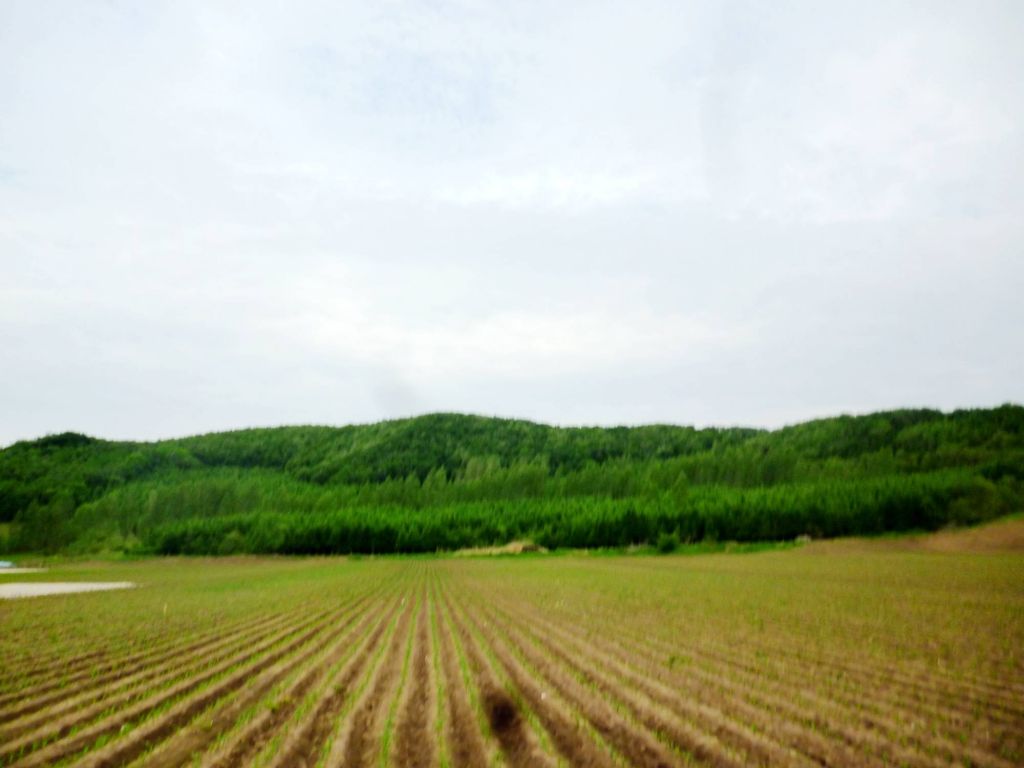 P1060443.jpg