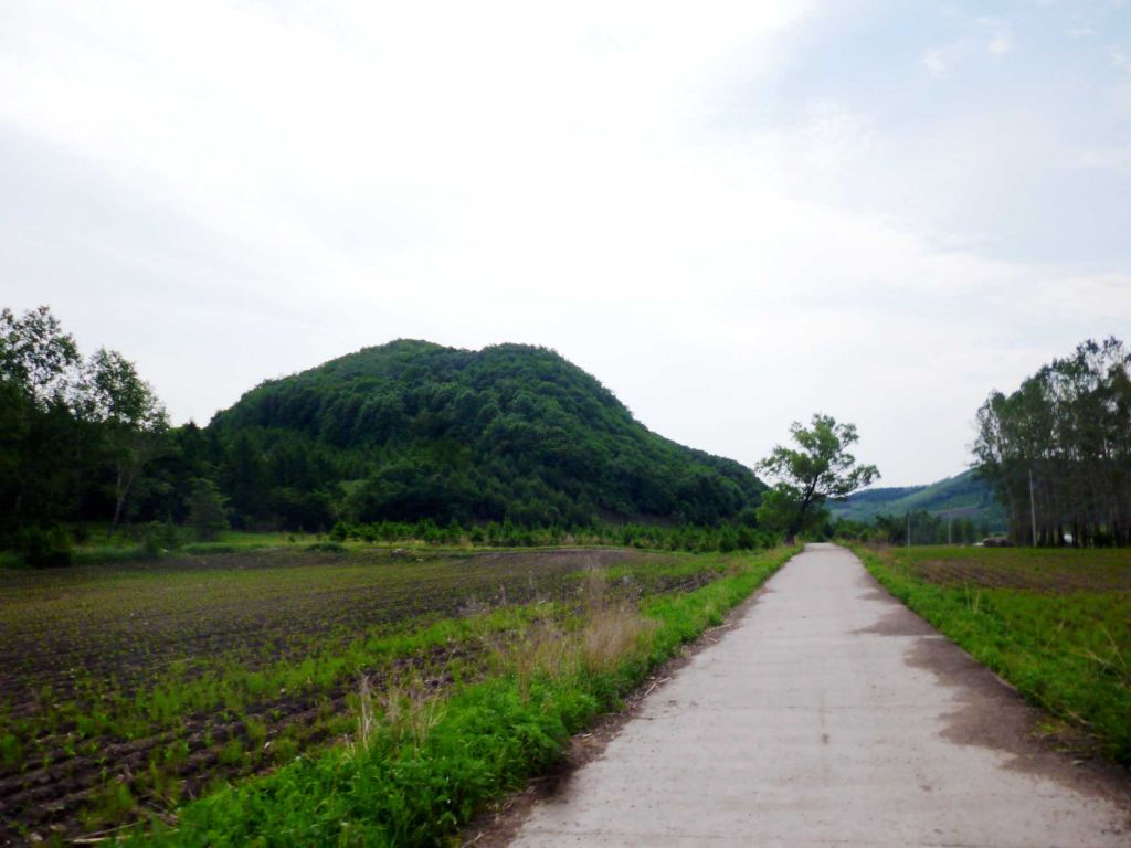 P1060448.jpg