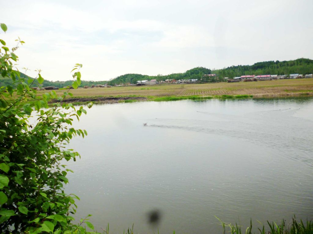 P1060459.jpg