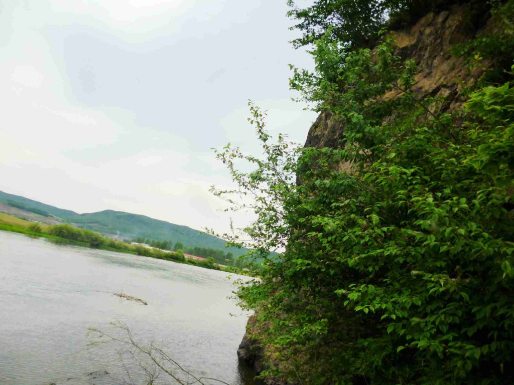 P1060461.jpg