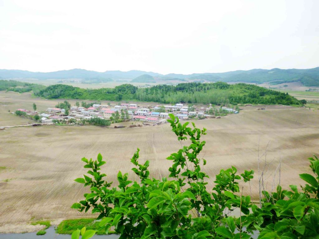 P1060463.jpg
