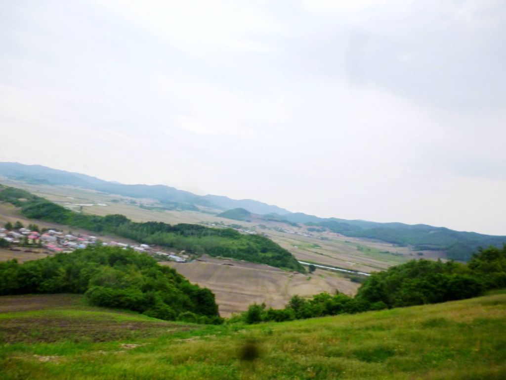 P1060474.jpg