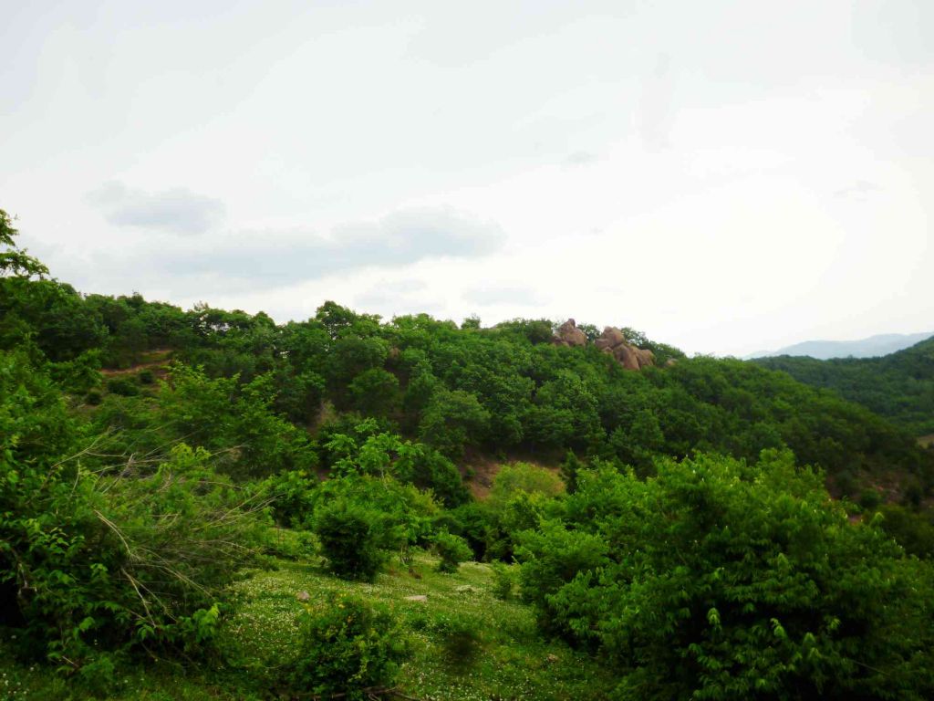 P1060501.jpg