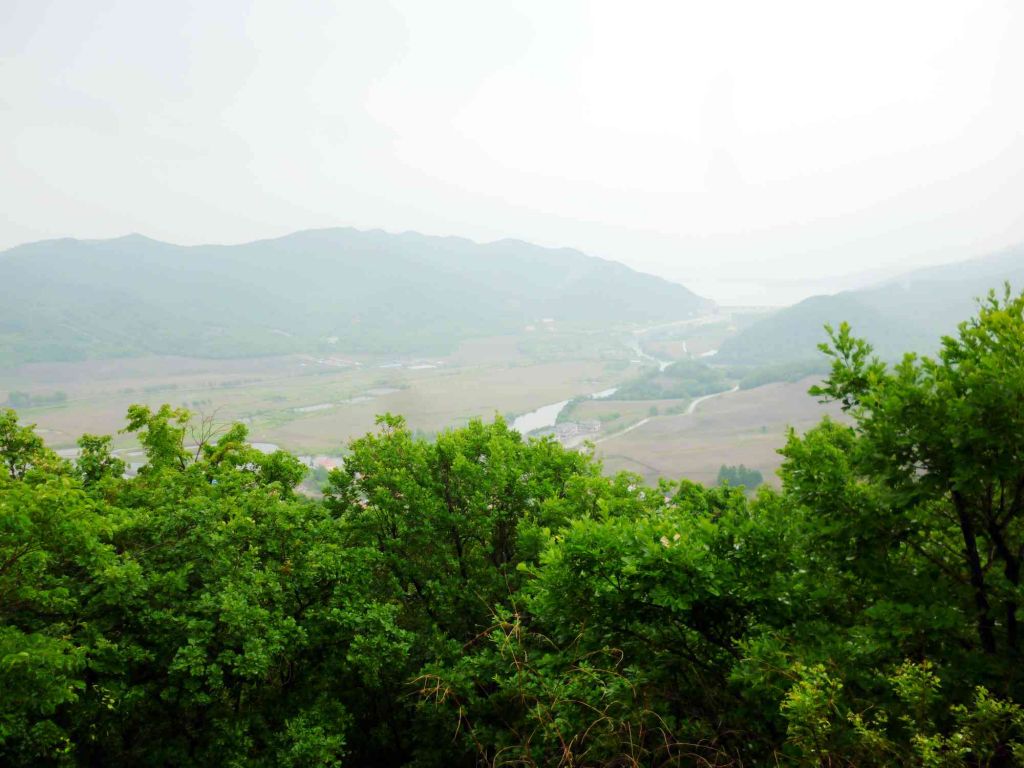 P1060541.jpg
