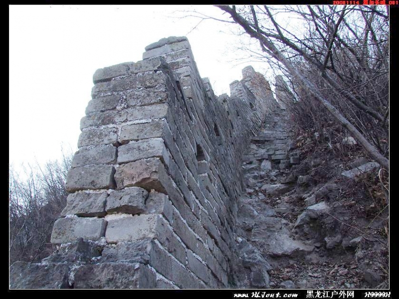 20081114_���۳���_081.jpg