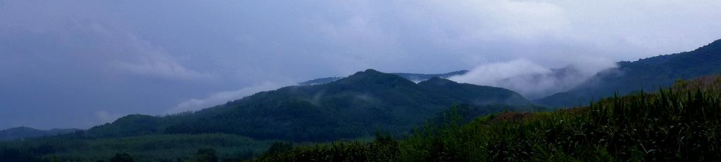 P1060503.JPG