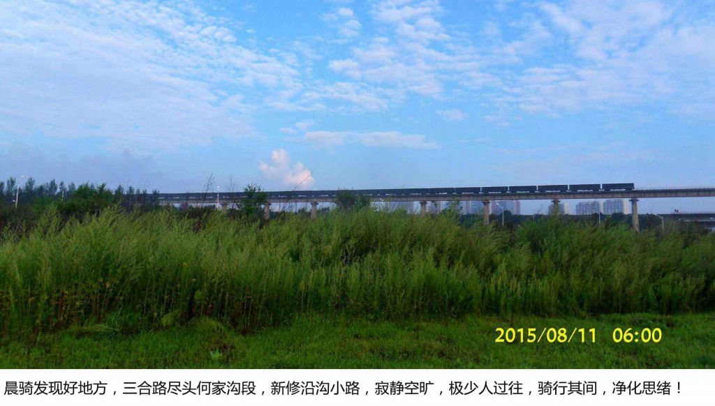 SDC19090.jpg