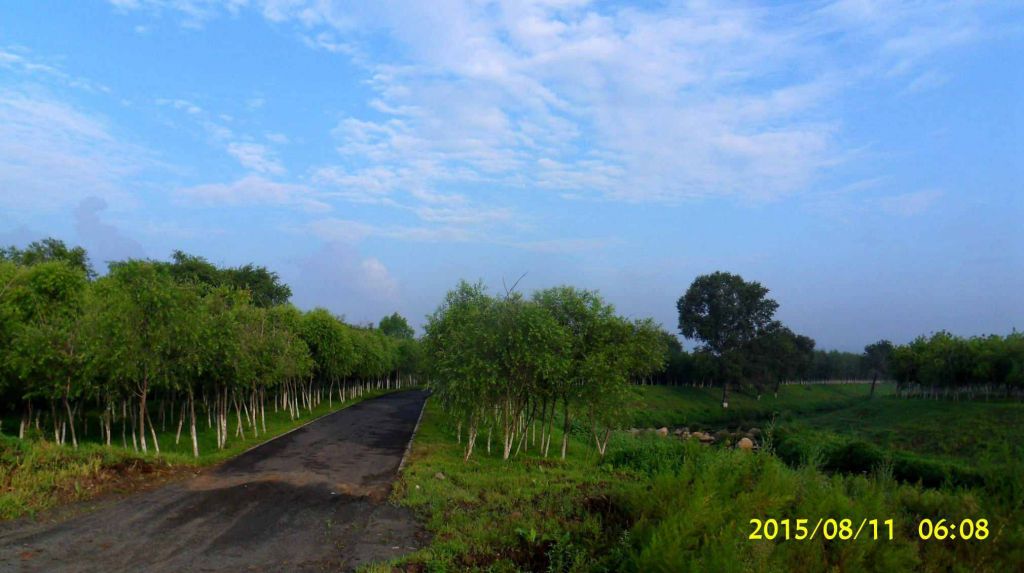 SDC19092.jpg