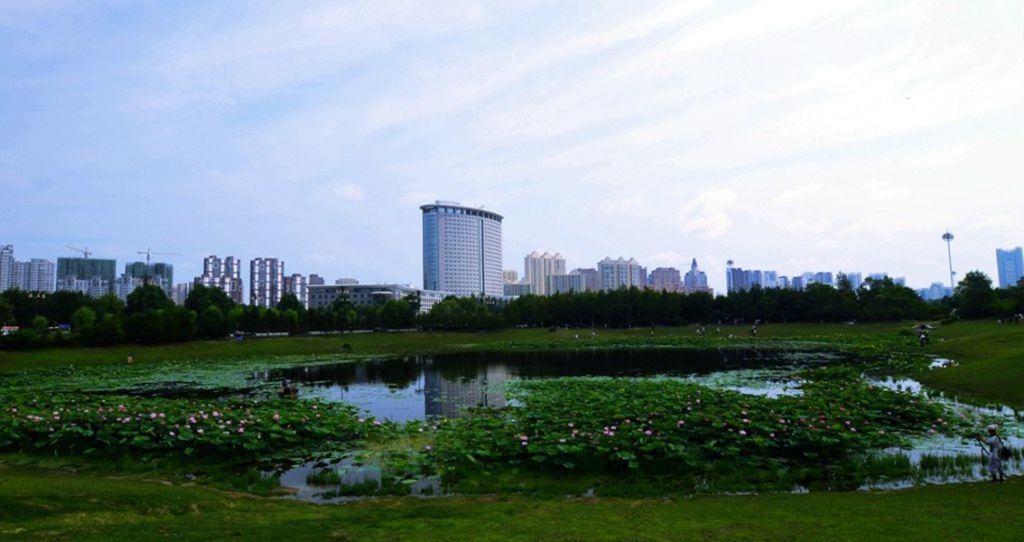 DSC_8778_����.jpg