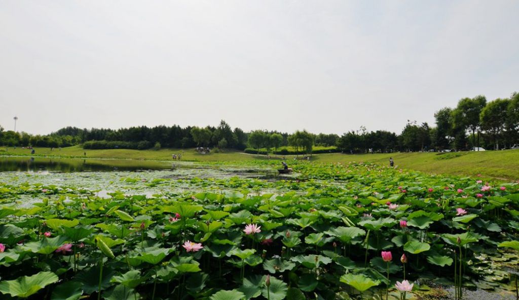 DSC_8805_����.jpg