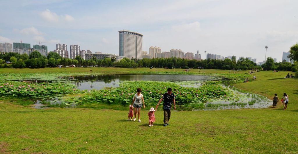 DSC_8819_����.jpg