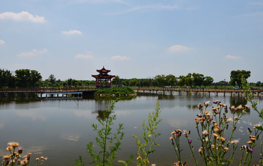 DSC_9325_����.jpg