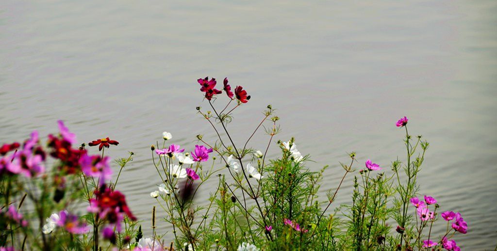 DSC_0005_����.jpg