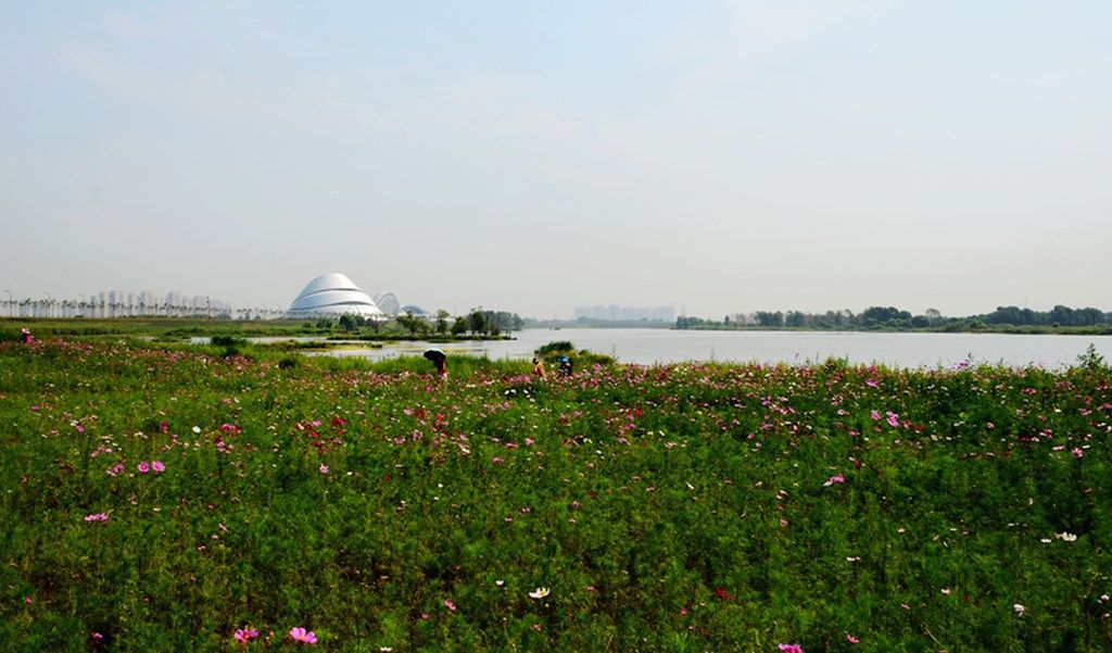 DSC_0014_����.jpg