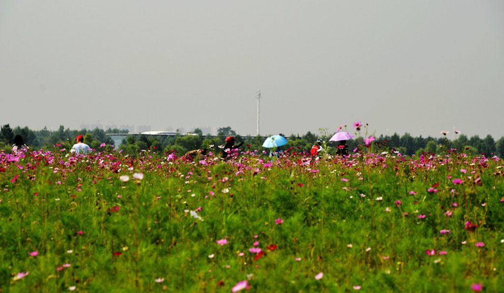 DSC_0016_����.jpg