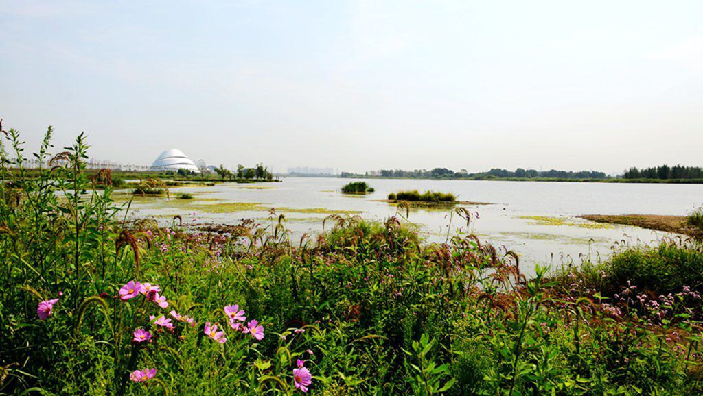 DSC_0020_����.jpg