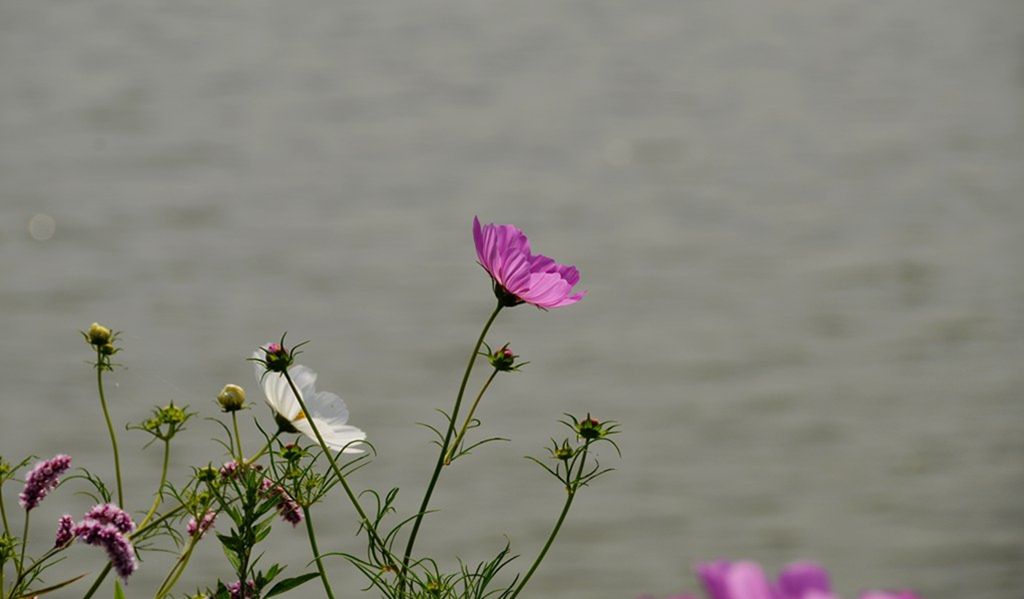 DSC_0029_����.jpg