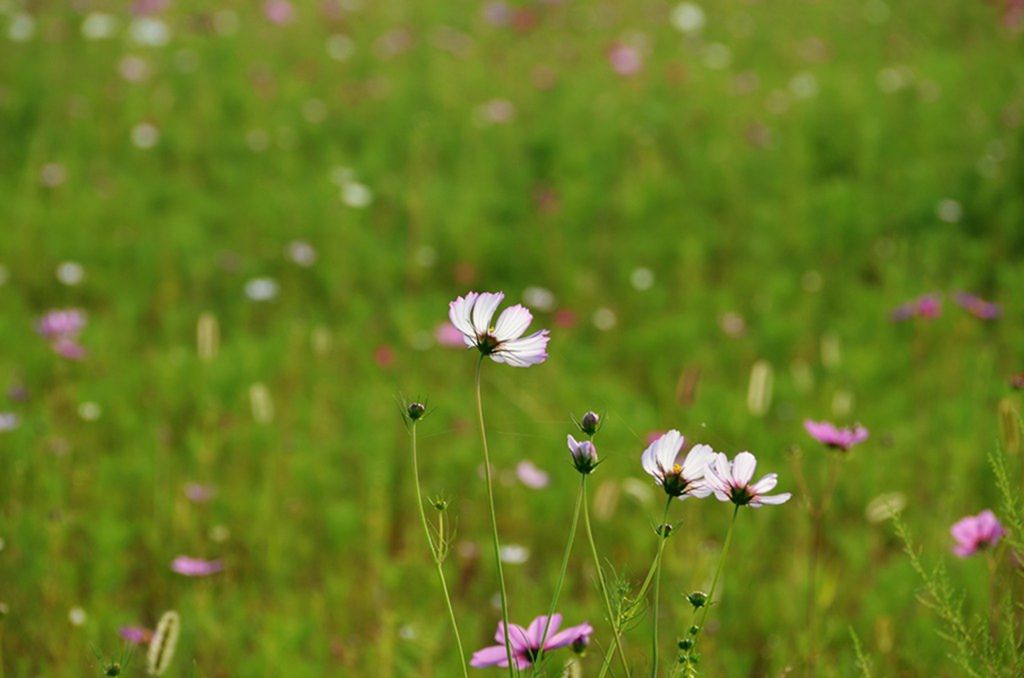 DSC_9802_����.jpg