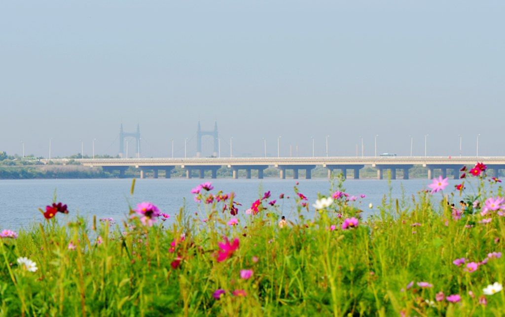 DSC_9815_����.jpg