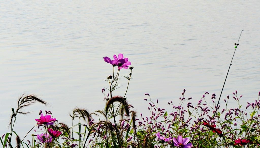 DSC_9875_����.jpg