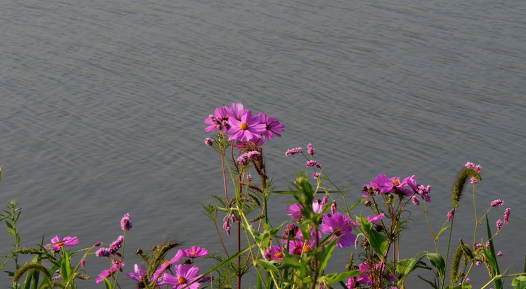 DSC_9876_����.jpg