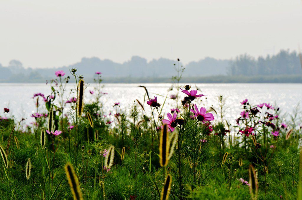 DSC_9859_����.jpg