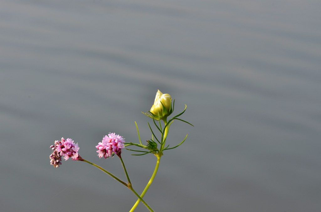 DSC_9866_����.jpg