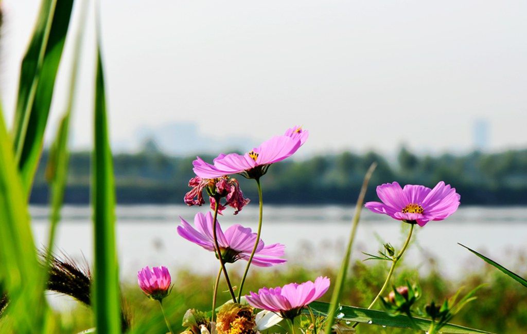 DSC_9883_����.jpg