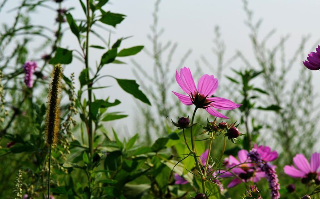 DSC_9887_����.jpg