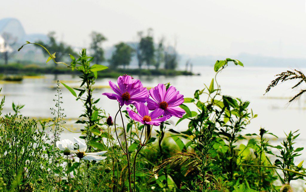 DSC_9890_����.jpg