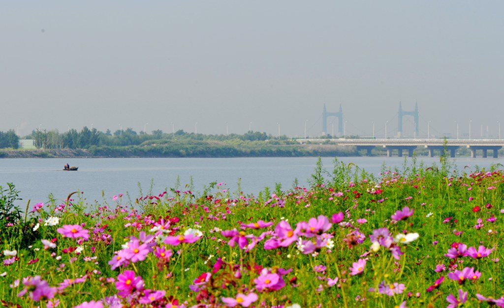 DSC_9908_����.jpg