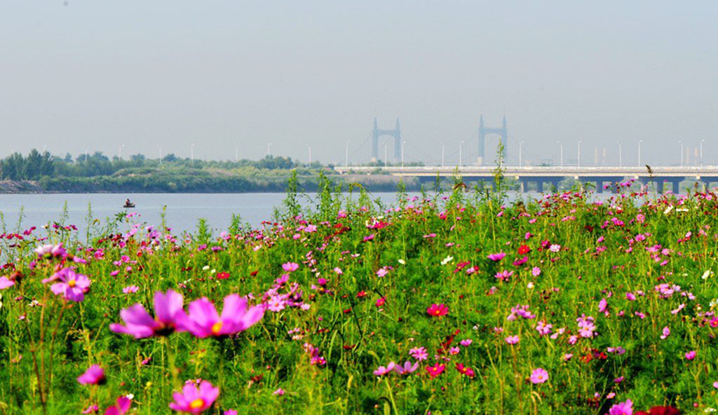 DSC_9909_����.jpg