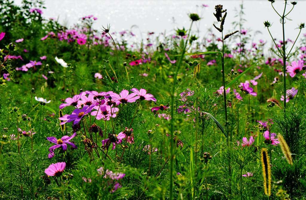 DSC_9912_����.jpg